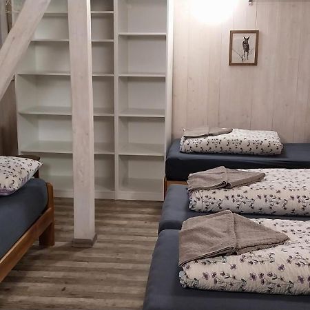 Ski Apartmany Nymburska Chata เปซ โปด ซนีชโกว์ ภายนอก รูปภาพ